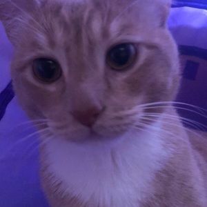 Meet your Posher, Joshua